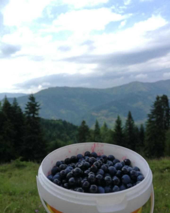 Eco Village Jasavic Плав Екстер'єр фото